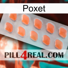 Poxet 26